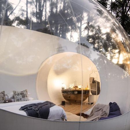 Skyview Bubbletent Eganstown Eksteriør bilde